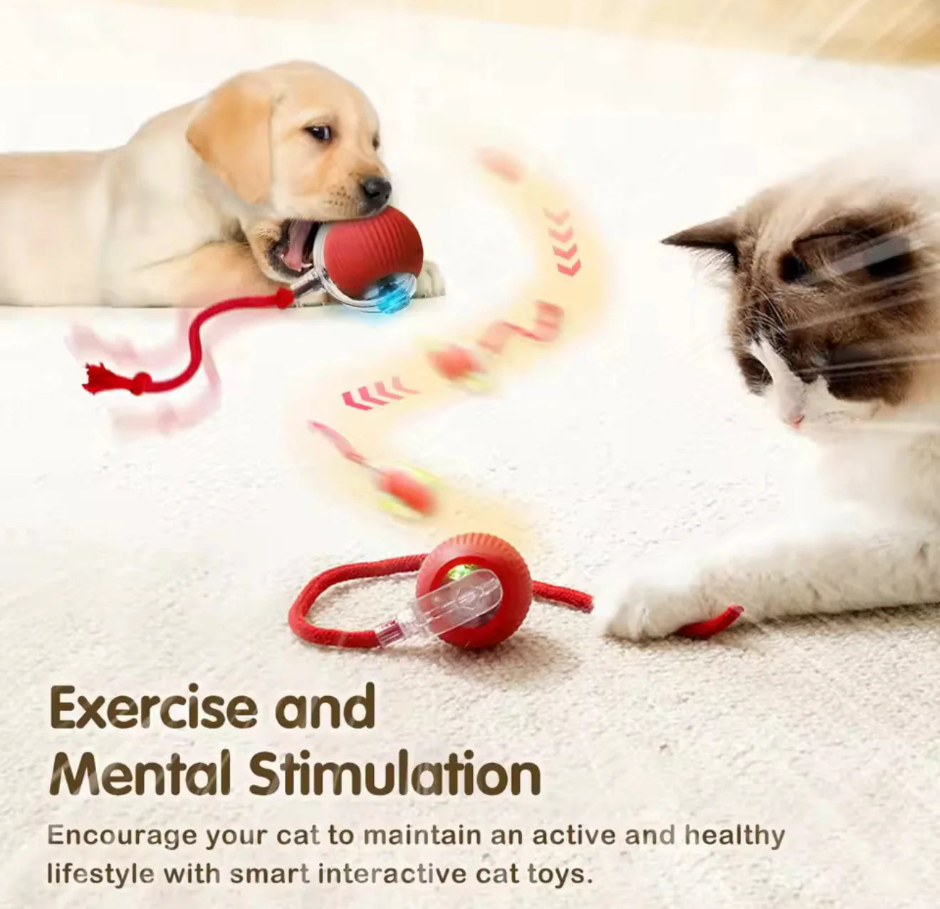 ✨HOT SALE 49% OFF✨🎄50K+；Cat&Dog toy ball cat&dog toy electric moving ball toy